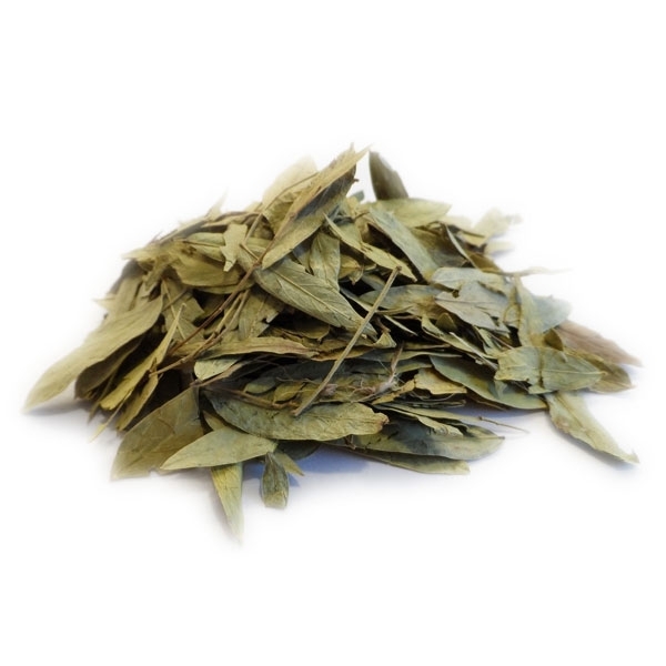 sene-tinnevelly-feuille-entiere-
